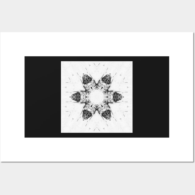 Symmetry in black and white Wall Art by spacedivers